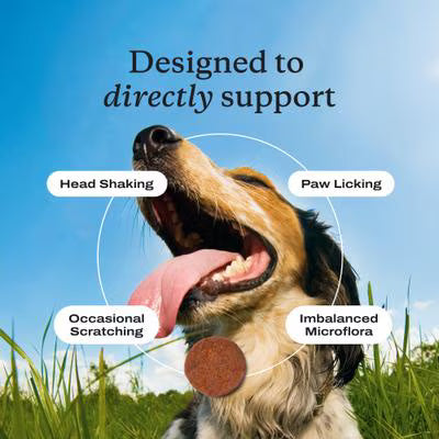 PetLabCo. Allergy & Immune Probiotic Pork Flavored Chew Supplement for Dogs, 30 count